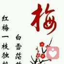 梅花陪伴者的头像