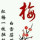 梅花陪伴者