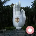 命运约定的头像