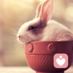 的头像