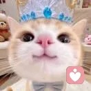 回眸的头像