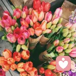 拐拐其实不太弯的头像