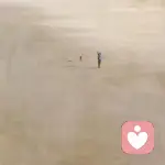 who	are	you?的头像