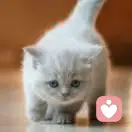 嗯嗯嗯的头像