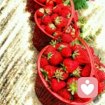 一只迷路的猪的头像