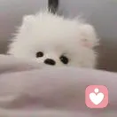 sober.的头像