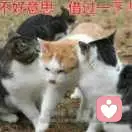 我与影子孤独终老i的头像