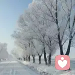 （_灬天㊣驕ゞ的头像