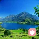 1688 富贵的头像