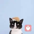 美好事物จุ๊บ的头像