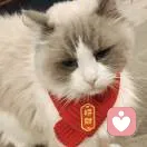 金彩人生的头像