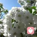 心灵净化学的头像