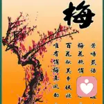 liyemei梅完栂了的头像