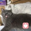 悦耳之声的头像