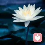 起个名字真费劲的头像