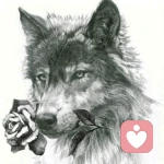 悲哀的小帅帅的头像