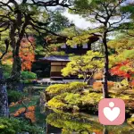 大智若愚的头像