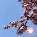 番茄不炒蛋的头像