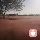 细雨漫步的头像