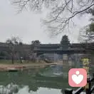 至清至纯的头像