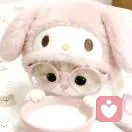 骑猪总裁的头像