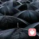 不负韶华的头像