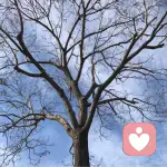 贝贝beibei的头像