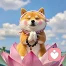 王小冷🐯的头像