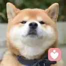 路的头像