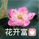 流年似水的头像