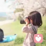 花落叶无情的头像