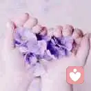 守望幸福的头像