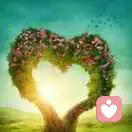 北疆相思的头像