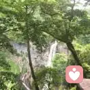 红歌飘飘的头像