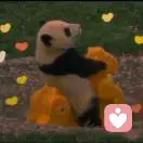 山口百惠的头像