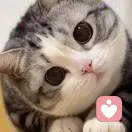 跑腿