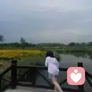 	南瓜的头像