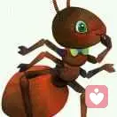 小蚂蚁的头像