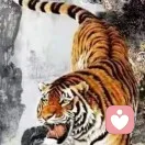 靳的头像