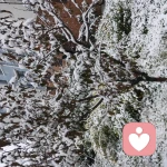 ℡夜未央]的头像