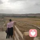 柠檬不酸的头像