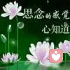 心❤向💔荣💝的头像