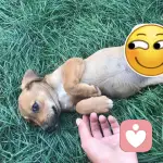 （水瓶）的头像