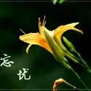 悠兰·暖光小筑