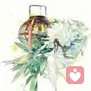 纤云弄巧的头像