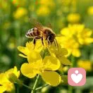 多多益善的头像