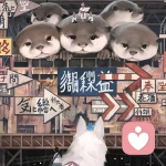 鸭鸭大人的头像