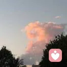小鲁的头像