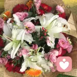 泡沫之夏的头像