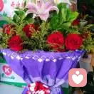 天使的翅膀的头像